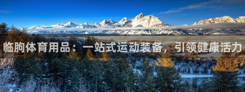 欧陆娱乐注册链接怎么弄:临朐体育用品:一站式运动装备,引领健