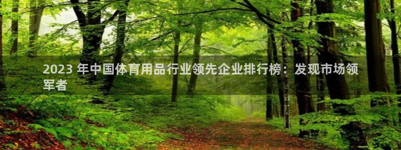 欧陆娱乐代理多少个点位:2023 年中国体育用品行业领先企业
